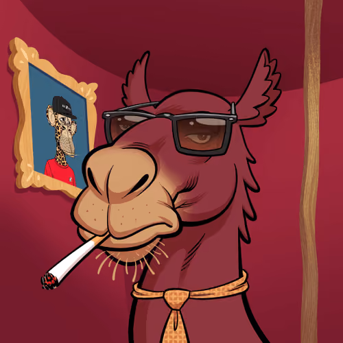 Arabian Camel #8059