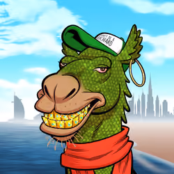 Arabian Camel #11026