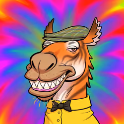Arabian Camel #3416