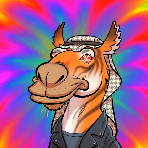 Arabian Camel #6968