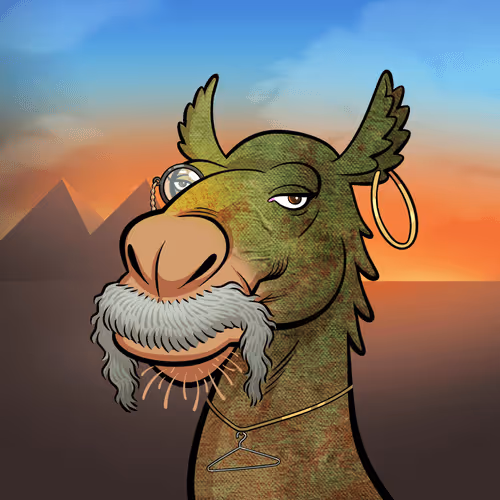 Arabian Camel #1770