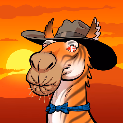 Arabian Camel #7238