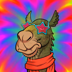 Arabian Camel #6258