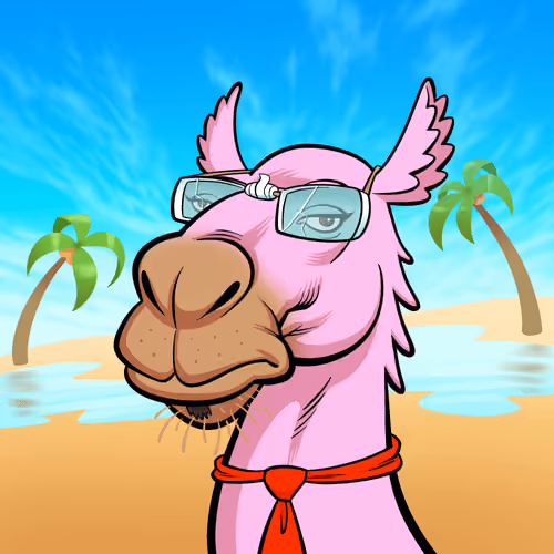 Arabian Camel #91