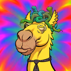 Arabian Camel #8137