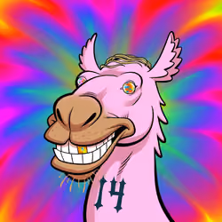 Arabian Camel #594