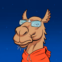 Arabian Camel #10107