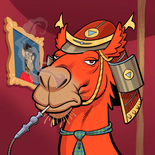 Arabian Camel #3718