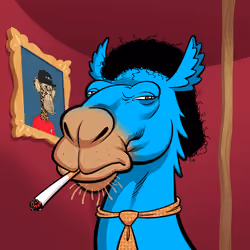 Arabian Camel #11537