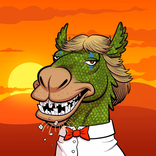 Arabian Camel #809