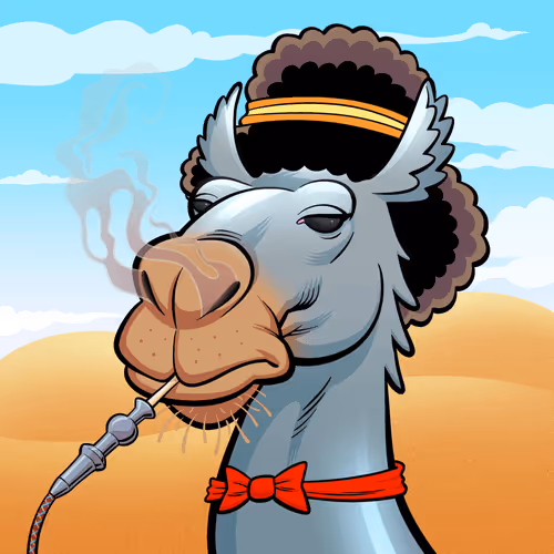 Arabian Camel #602