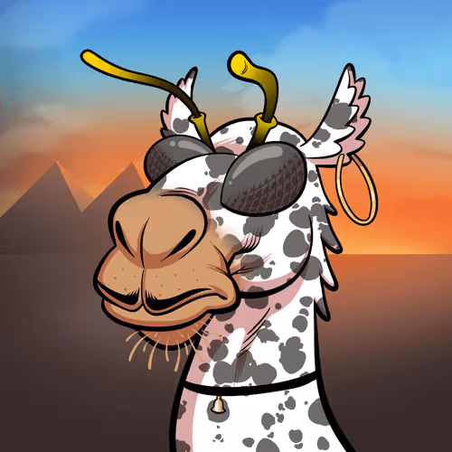 Arabian Camel #2369