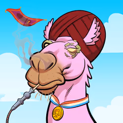 Arabian Camel #8481