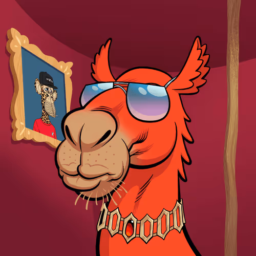 Arabian Camel #810