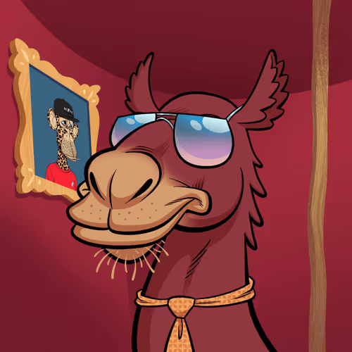 Arabian Camel #10602