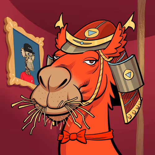 Arabian Camel #10800