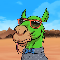 Arabian Camel #8012