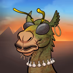Arabian Camel #1177