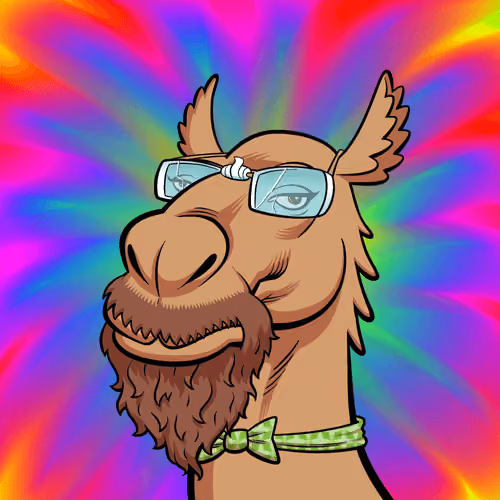 Arabian Camel #9799