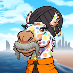 Arabian Camel #5081