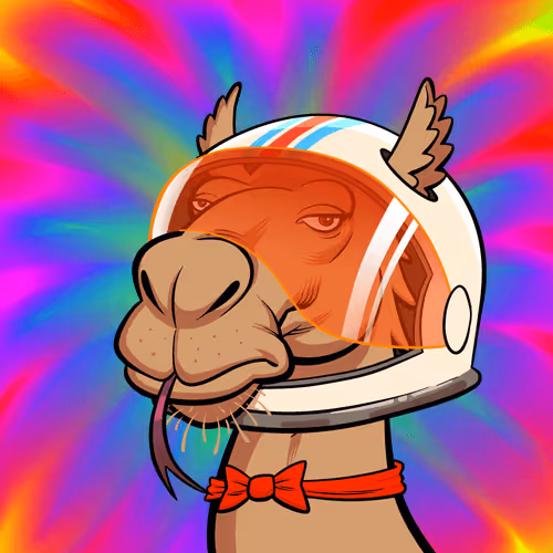 Arabian Camel #8339