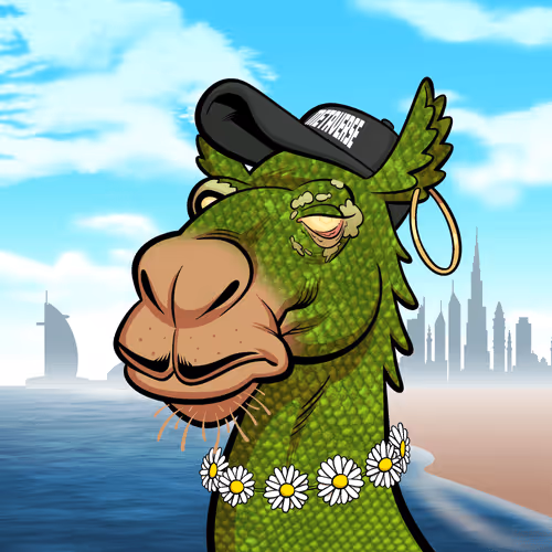 Arabian Camel #3470