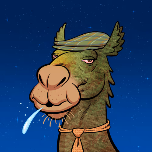 Arabian Camels