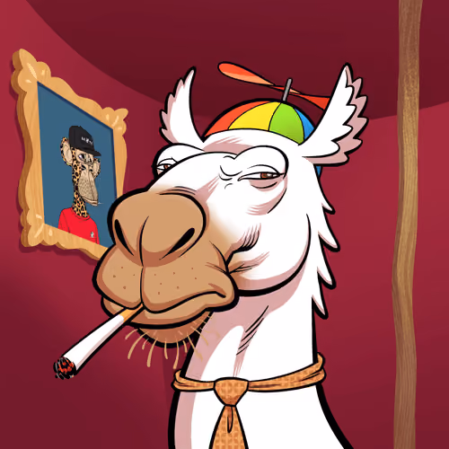 Arabian Camel #2543