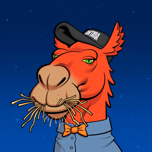 Arabian Camel #111