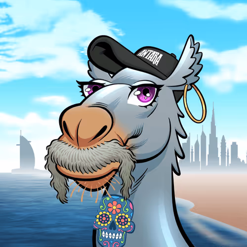 Arabian Camel #3720