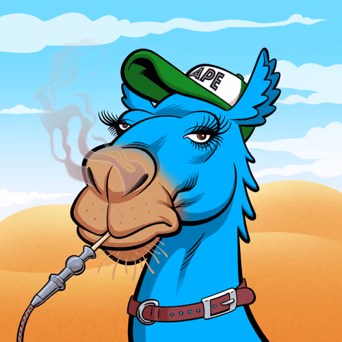 Arabian Camel #5133
