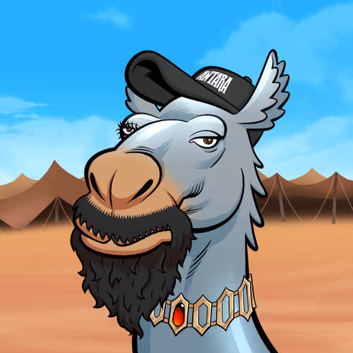 Arabian Camels