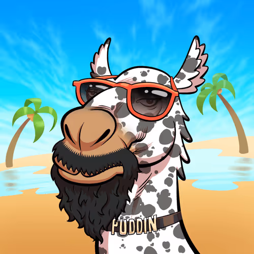 Arabian Camel #622