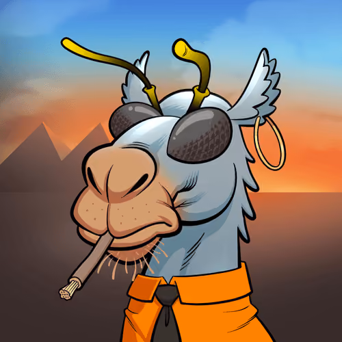 Arabian Camel #3950