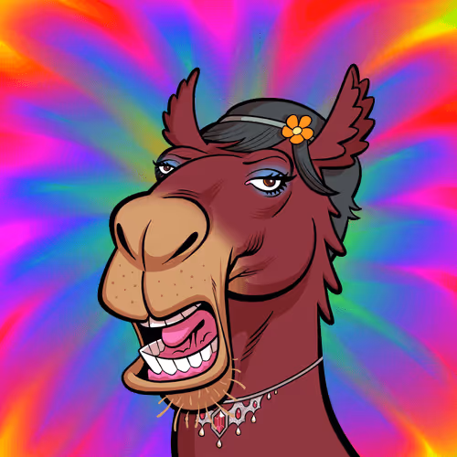 Arabian Camel #9138