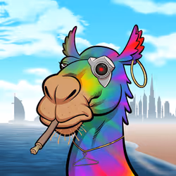 Arabian Camel #10957