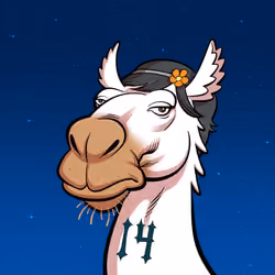 Arabian Camel #10805