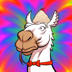 Arabian Camel #4061