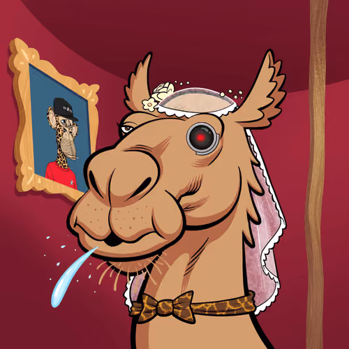 Arabian Camel #2107