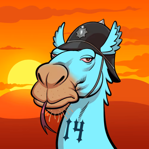 Arabian Camel #8376