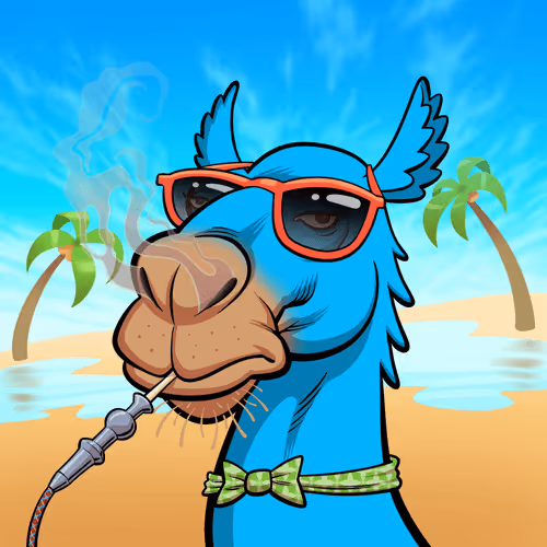 Arabian Camel #7878