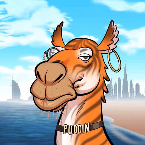 Arabian Camels