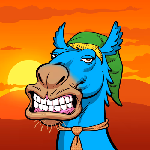 Arabian Camel #11567