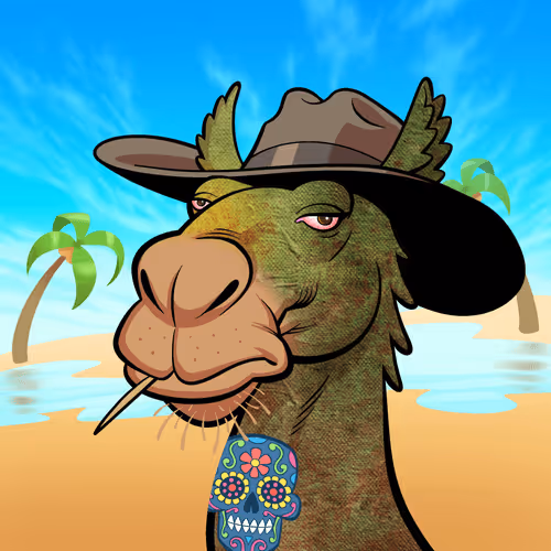Arabian Camel #12010