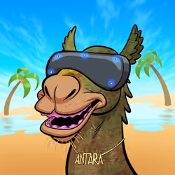 Arabian Camel #6146
