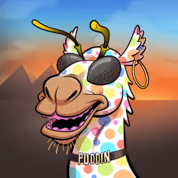 Arabian Camel #11664