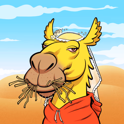 Arabian Camel #8600