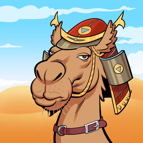 Arabian Camel #8354