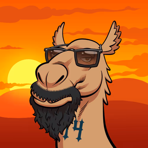 Arabian Camel #12008