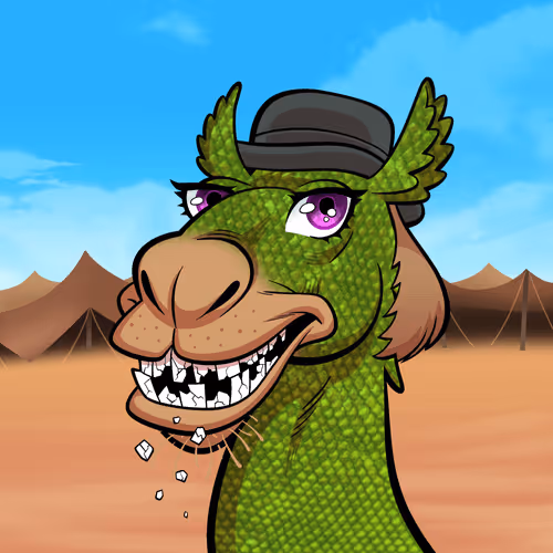 Arabian Camel #4586